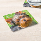 ヨークシャー・テリアが見上げる スクエアペーパーコースター (アングル)