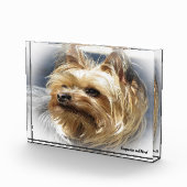 ヨークシャー・テリアの犬 フォトブロック (右)