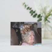 ヨークシャー・テリアーのポストカード ポストカード (スタンド正面)