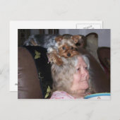 ヨークシャー・テリアーのポストカード ポストカード (正面/裏面)