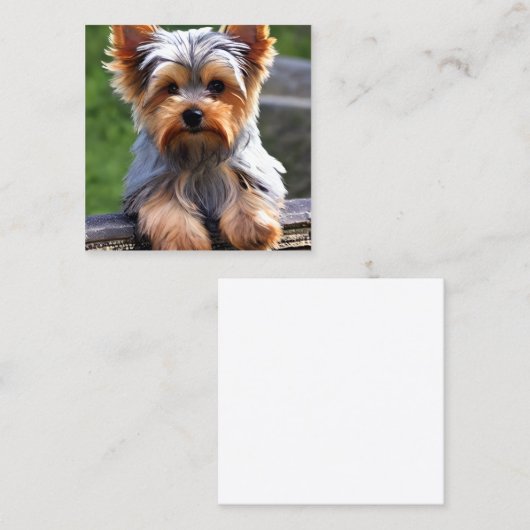 ヨークシャー・テリア、または「ヨークシャーテリア」はAffecである スクエア名刺 (正面/裏面)