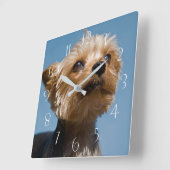 ヨークシャー·テリア スクエア壁時計 (傾斜)