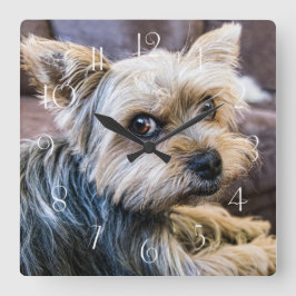 ヨークシャー·テリア スクエア壁時計