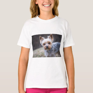ヨークシャー・テリア、犬、ペット Tシャツ