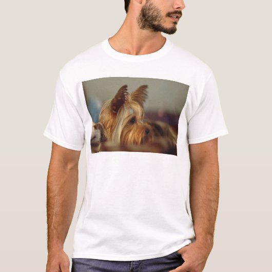 ヨークシャー・テリア Tシャツ (正面)