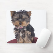 ヨークシャ マウスパッド (マウス)