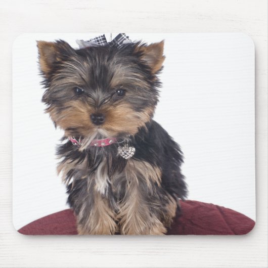 ヨークシャ マウスパッド (正面)