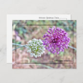 ヨークタウンオニオンポストカード – 歴史的なバージニア ポストカード (正面/裏面)