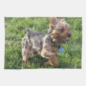 ヨークテリアの台所タオル キッチンタオル (横)