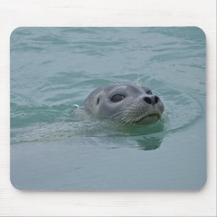 ヨークルスアゥルロンの氷河湖で泳ぐゼニガタアザラシ マウスパッド