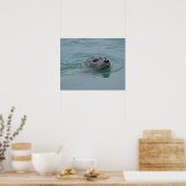 ヨークルスアーロン氷河湖で泳ぐゼニガタアザラシ ポスター (キッチン)