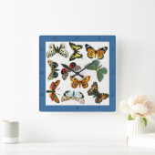 ヨーロッパで最高の知られるチョウと蛾のコラージュ スクエア壁時計 (ホーム)