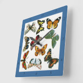 ヨーロッパで最高の知られるチョウと蛾のコラージュ スクエア壁時計 (傾斜)