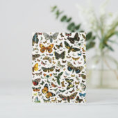 ヨーロッパで知最高のられる蝶と蛾のコラージュ ポストカード (スタンド正面)