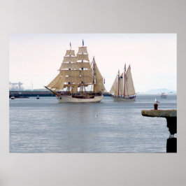 ヨーロッパとアメリカワシ ポスター