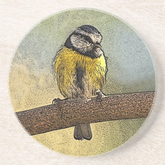 ヨーロッパのアオガラ コースター (正面)