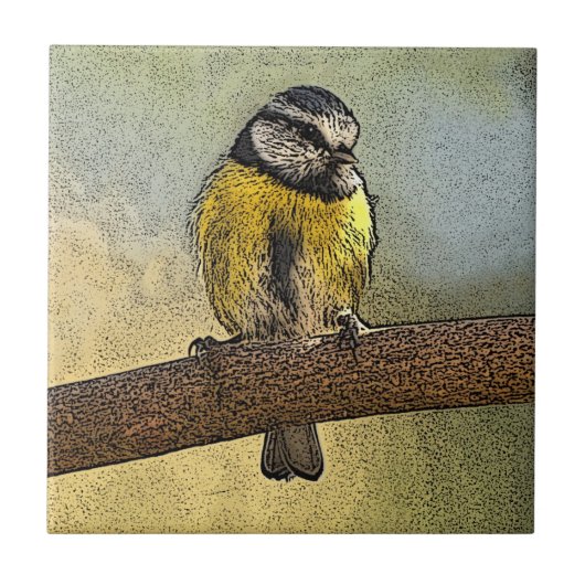 ヨーロッパのアオガラ タイル (正面)