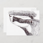 ヨーロッパのアナグマ(a455) ポストカード (正面/裏面)