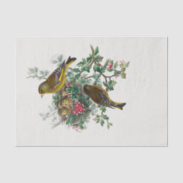 ヨーロッパのグリーンフィンチのデコパージュ 薄葉紙