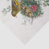 ヨーロッパのグリーンフィンチのデコパージュ 薄葉紙 (詳細)