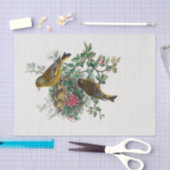 ヨーロッパのグリーンフィンチのデコパージュ 薄葉紙 (クラフト)