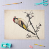 ヨーロッパのゴールドフィンチの水色のデカップバードプリント 薄葉紙 (クラフト)