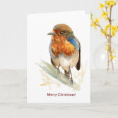 ヨーロッパのロビンと季節のグリーティングカード カード (黄色い花)