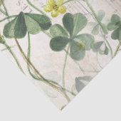 ヨーロッパのロビンの鳥の花フランスのの音楽の切り離し 薄葉紙 (詳細)