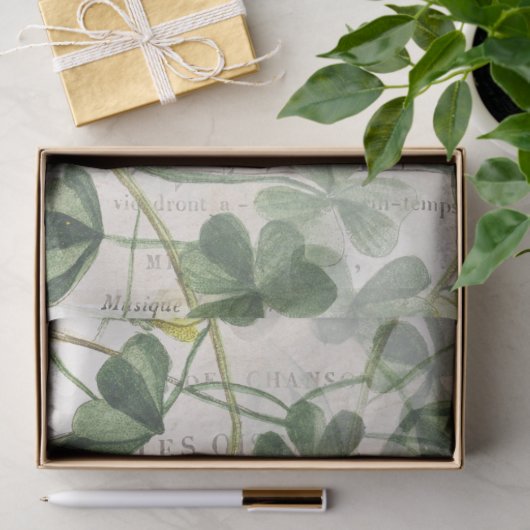 ヨーロッパのロビンの鳥の花フランスのの音楽の切り離し 薄葉紙 (ギフト)