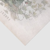 ヨーロッパのロビンバードネストつる植物の古い音楽の分離 薄葉紙 (詳細)