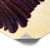 ヨーロッパのローラーの翼 ポスター (角)