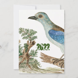 ヨーロッパのローラージグソーブルーバード 招待状