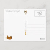 ヨーロッパの喫煙パイプ、ケースと器具 ポストカード (裏面)