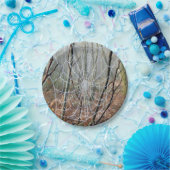 ヨーロッパの庭くもの紙皿のくもの巣 ペーパープレート (パーティー)