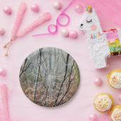 ヨーロッパの庭くもの紙皿のくもの巣 ペーパープレート (パーティー)