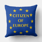 ヨーロッパの枕の市民 クッション (裏面)