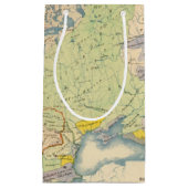 ヨーロッパの民族誌の地図 スモールペーパーバッグ (正面)