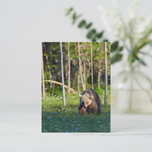 ヨーロッパの茶色のクマのはがき ポストカード (スタンド正面)