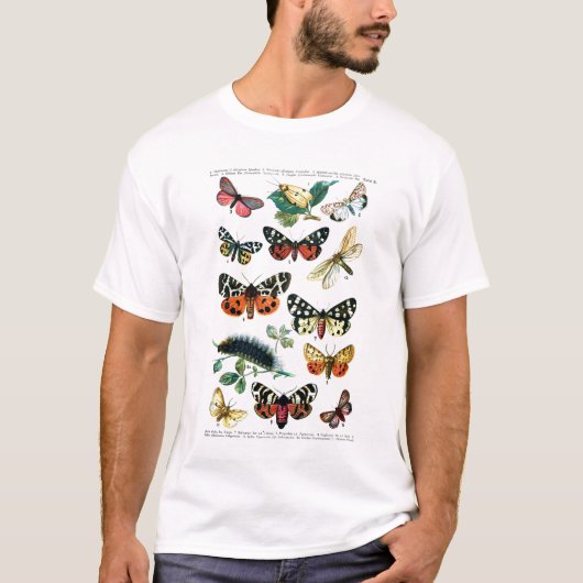 ヨーロッパの蝶 Tシャツ (正面)