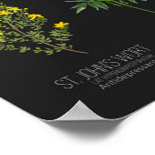 ヨーロッパの野生の花の癒しの力ハーブ学 ポスター (角)