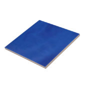 ヨーロッパの青いタイル タイル (側面)