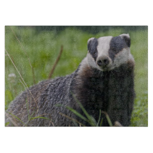ヨーロッパアナグマの長方形カッティングボード カッティングボード