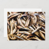 ヨーロッパアンチョビ ポストカード (正面/裏面)
