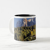 ヨーロッパイタリアサンピエトロオドル·グループは ツートーンマグカップ (正面左)