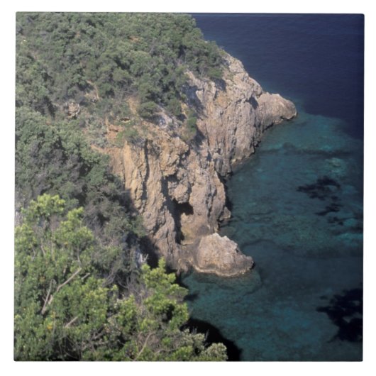 ヨーロッパイタリアトスカーナロッキーの海岸だ。カラ タイル (正面)