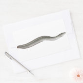 ヨーロッパウナギ 長方形シール (封筒)