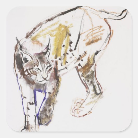 ヨーロッパオオヤマネコ スクエアシール (正面)