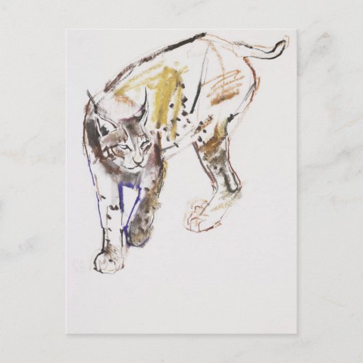 ヨーロッパオオヤマネコ ポストカード (正面)