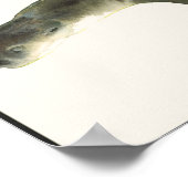 ヨーロッパオーター ポスター (角)