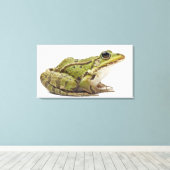ヨーロッパカエル又は食用カエル キャンバスプリント (インサイチュ (ウッドフロア))